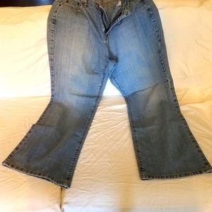 Spring Cleaning 💮  Lane Bryant Plus Jeans